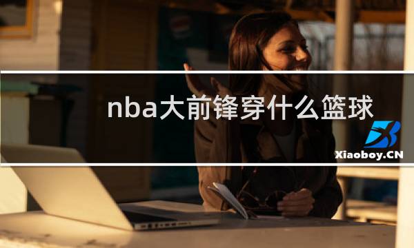 nba大前锋穿什么篮球鞋图片
