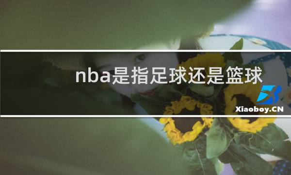 nba是指足球还是篮球啊图片