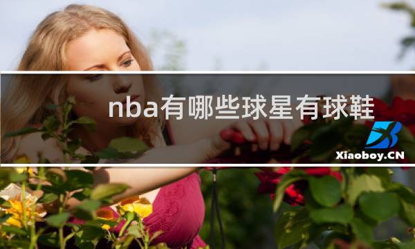 nba有哪些球星有球鞋图片