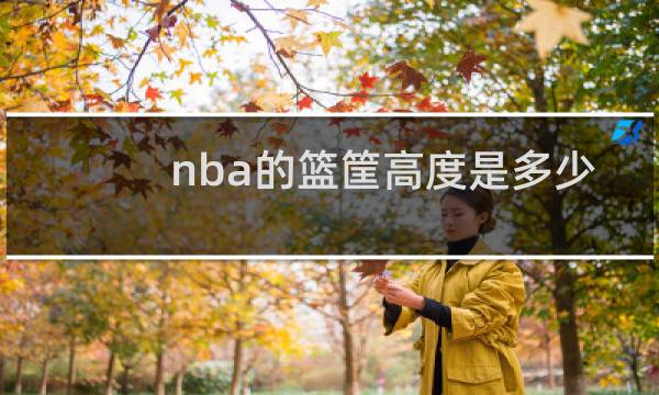 nba的篮筐高度是多少图片