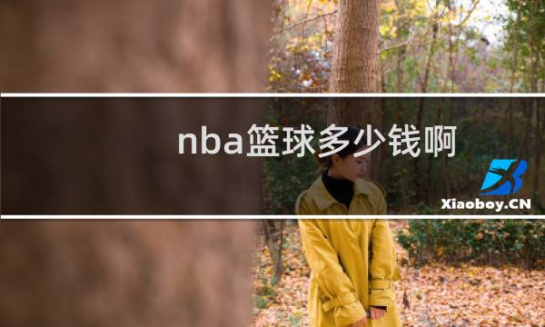 nba篮球多少钱啊图片