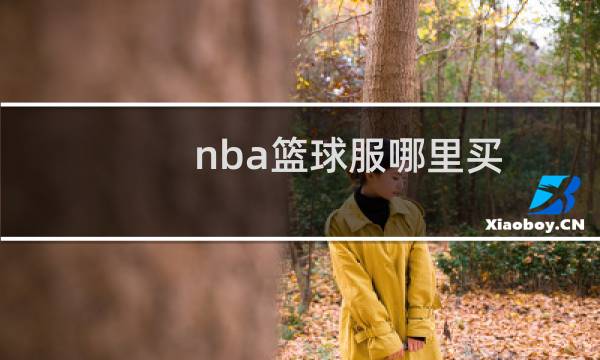 nba篮球服哪里买图片