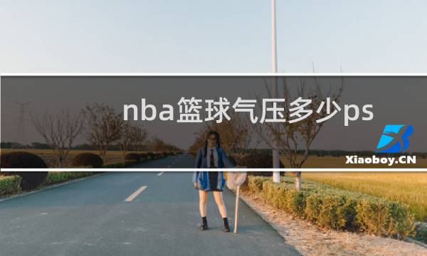 nba篮球气压多少psl图片