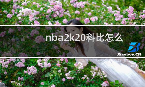 nba2k20科比怎么上场图片