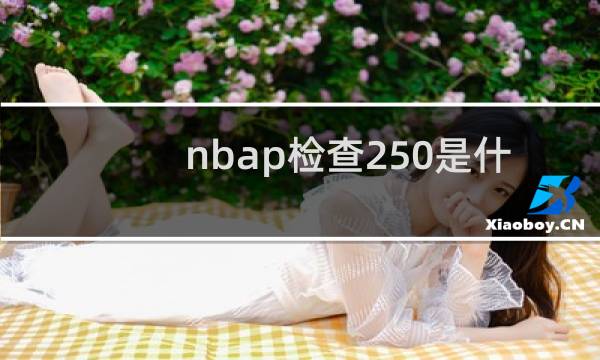 nbap检查250是什么意思图片