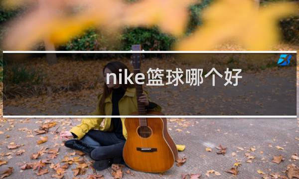 nike篮球哪个好图片