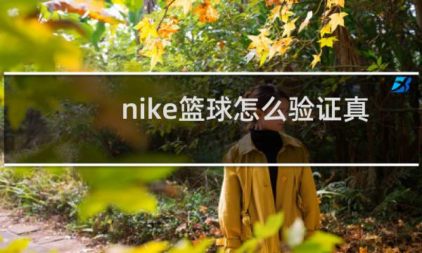 nike篮球怎么验证真伪图片
