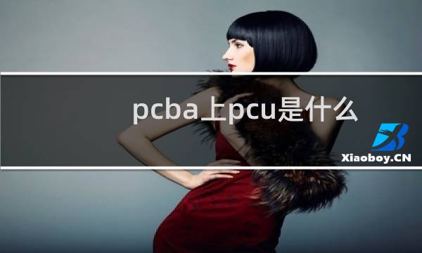 pcba上pcu是什么意思图片