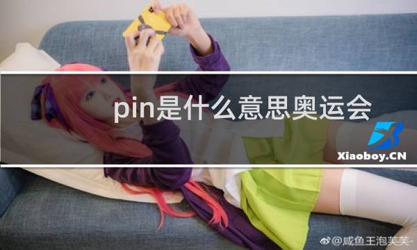 pin是什么意思奥运会图片