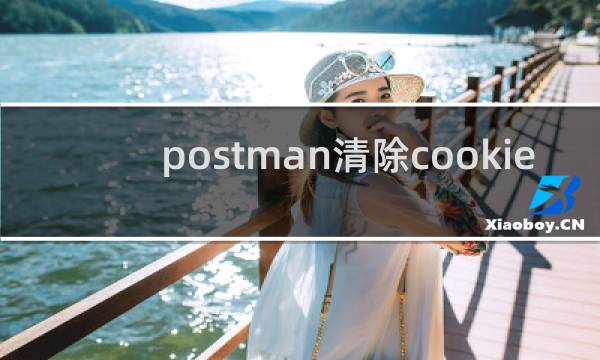 postman清除cookie - postman怎么清除缓存