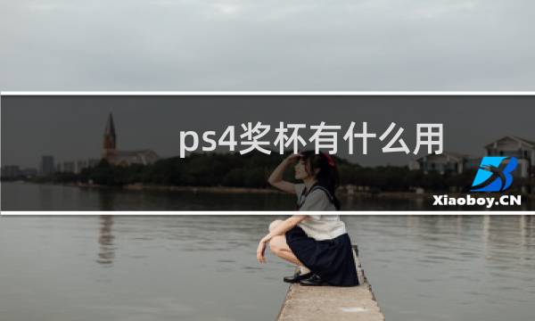 ps4奖杯有什么用图片
