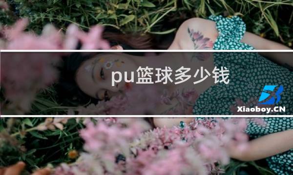pu篮球多少钱图片