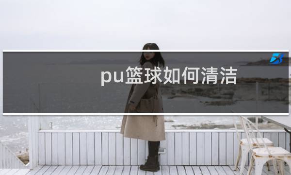 pu篮球如何清洁图片