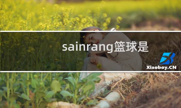 sainrang篮球是名牌吗图片