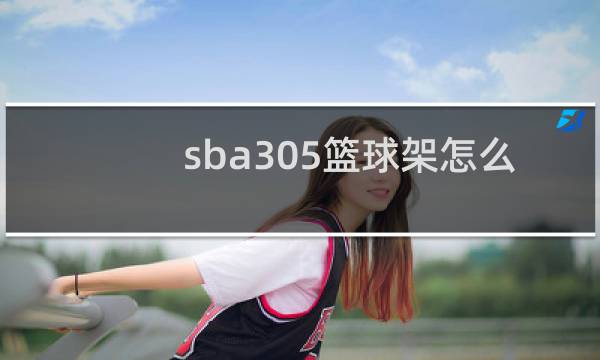 sba305篮球架怎么样图片