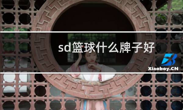 sd篮球什么牌子好图片