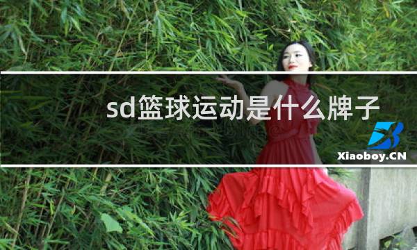 sd篮球运动是什么牌子图片