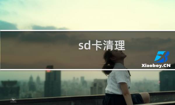 sd卡清理 - sd卡清理工具官方正版