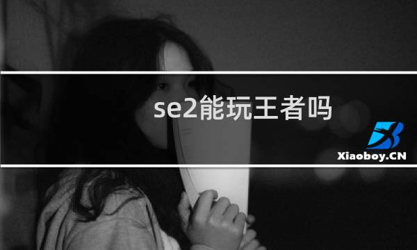 se2能玩王者吗图片