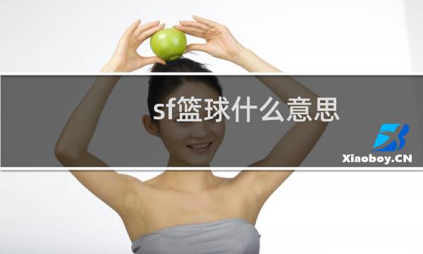 sf篮球什么意思图片