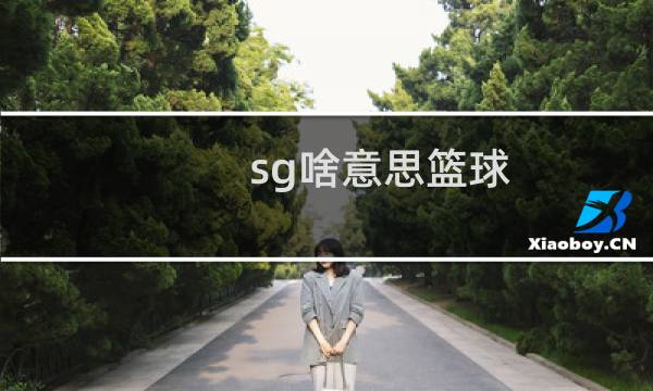 sg啥意思篮球图片