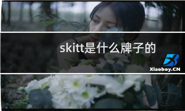 skitt是什么牌子的乒乓球底板图片