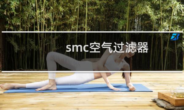 smc空气过滤器 - smc空气过滤器滤芯