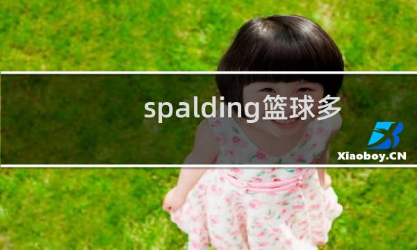 spalding篮球多少钱图片