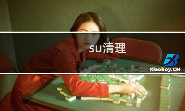 su清理 - su模型终极瘦身