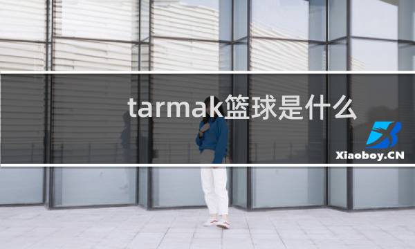 tarmak篮球是什么图片