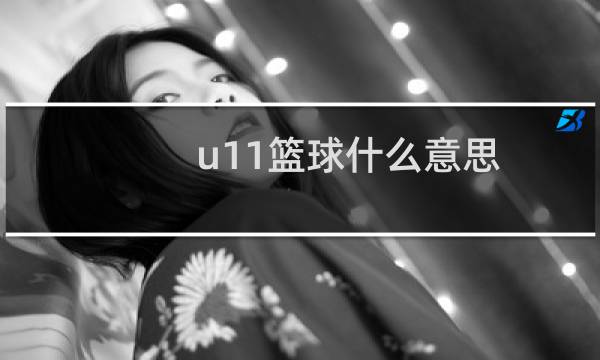 u11篮球什么意思图片