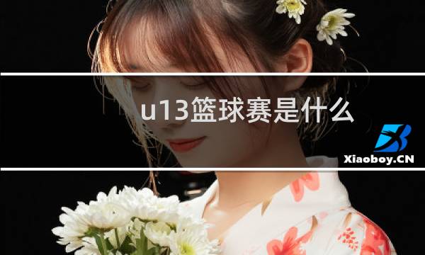 u13篮球赛是什么图片