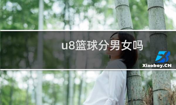 u8篮球分男女吗图片
