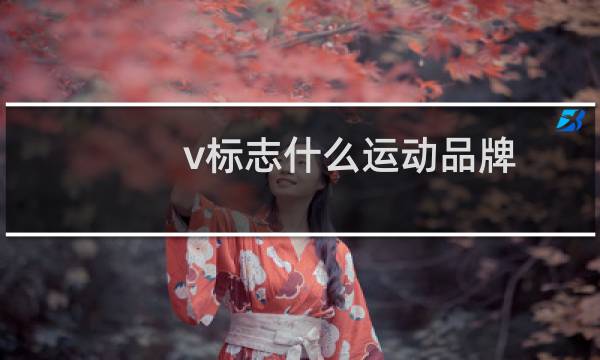 v标志什么运动品牌图片