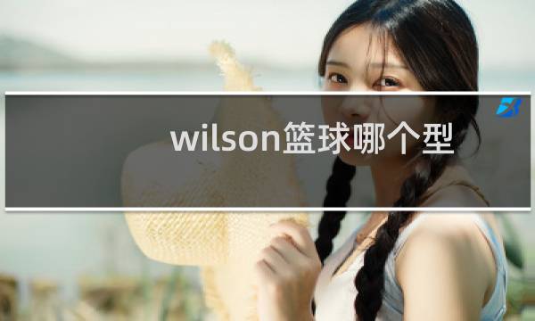 wilson篮球哪个型号好200元图片