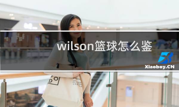 wilson篮球怎么鉴别真假图片