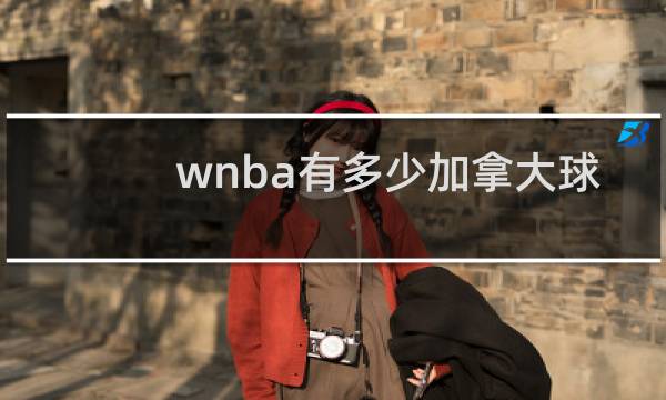 wnba有多少加拿大球员图片