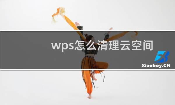 wps怎么清理云空间 - wps云空间删除了还是满的