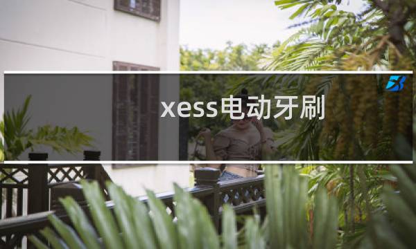 xess电动牙刷 - xess电动牙刷说明书