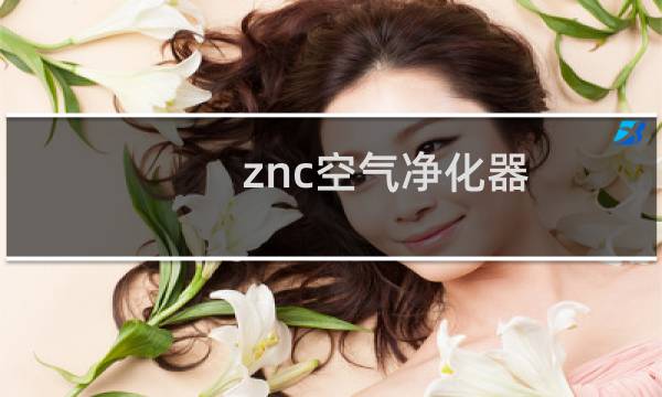 znc空气净化器 - znc空气净化器ac605价格