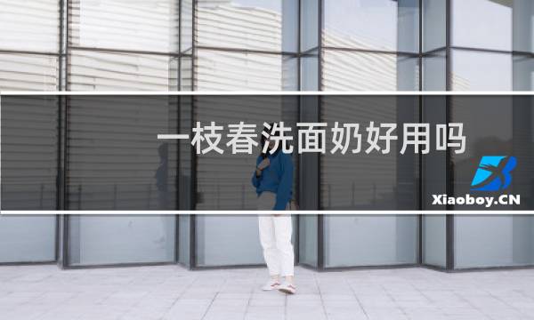 一枝春洗面奶好用吗 - 一枝春这个牌子靠谱吗