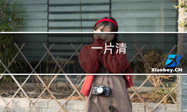 一片清 - 全部一㚫片