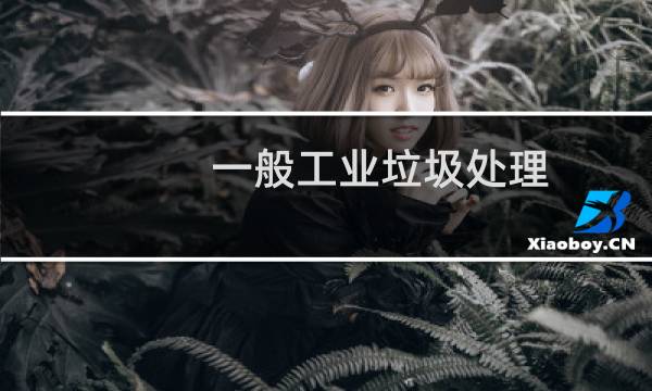一般工业垃圾处理 - 现在工业垃圾怎么处理