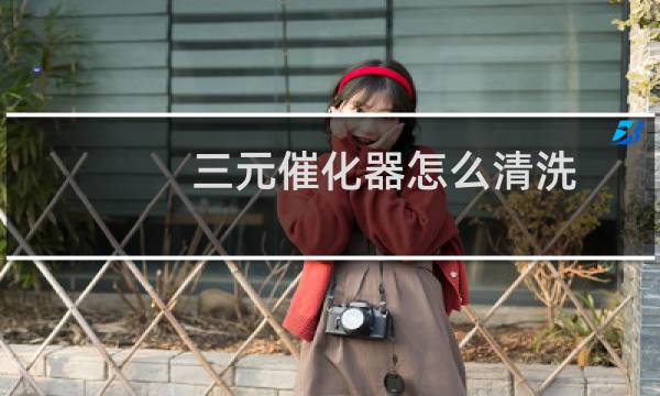 三元催化器怎么清洗 - 自己动手草酸清洗三元催化器