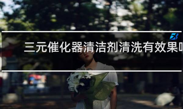 三元催化器清洁剂清洗有效果吗 - 网上买三元催化清洗剂靠谱吗