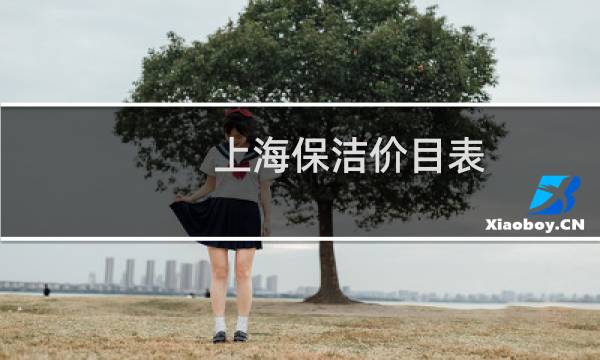 上海保洁价目表 -