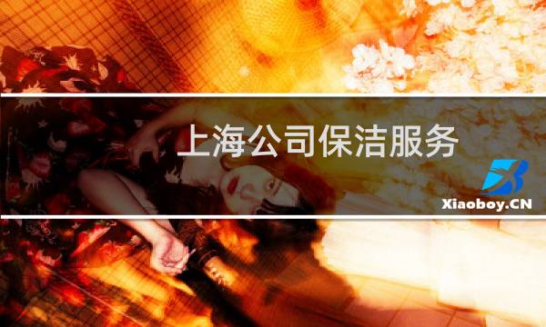 上海公司保洁服务 -