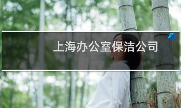 上海办公室保洁公司 - 上海专做政府保洁公司