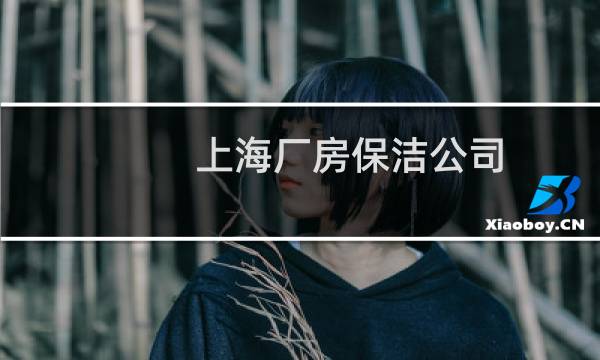 上海厂房保洁公司 - 上海延枫保洁有限公司