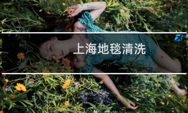 上海地毯清洗 - 上海清洗地毯保洁公司